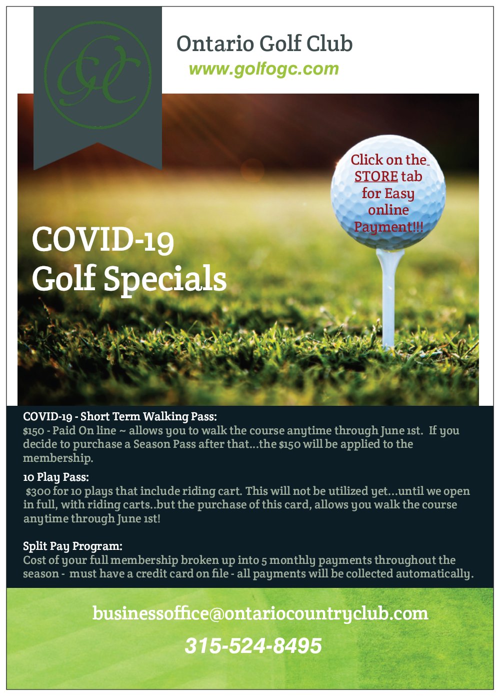 covid flyer online addition